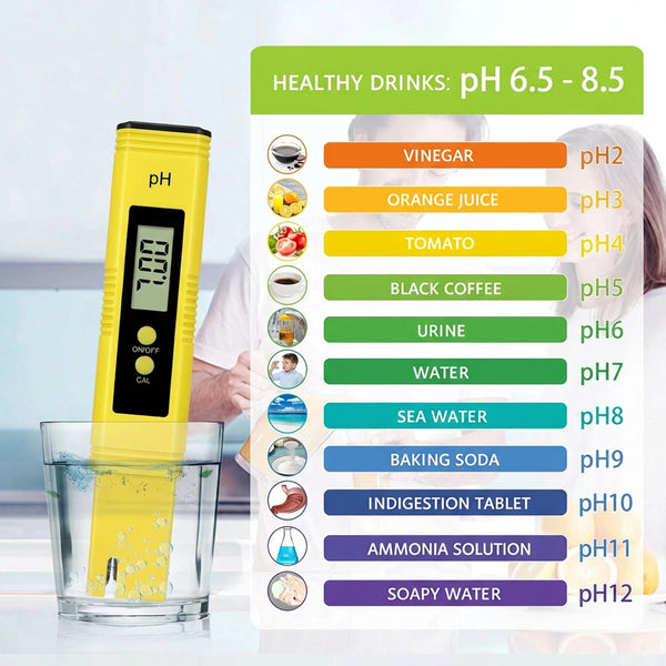 LED PH Meter for Hydroponics Systems-TheOneGrow