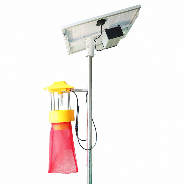 Solar-powered insect killer lamp on a white background