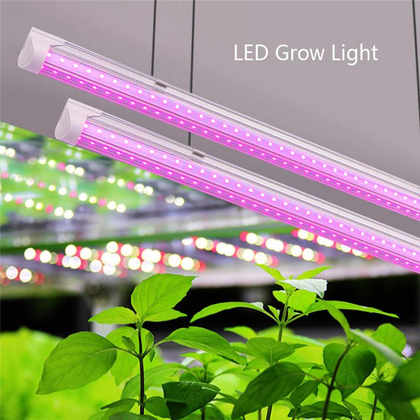 High Par LED Grow Light: Pros and Cons 2024