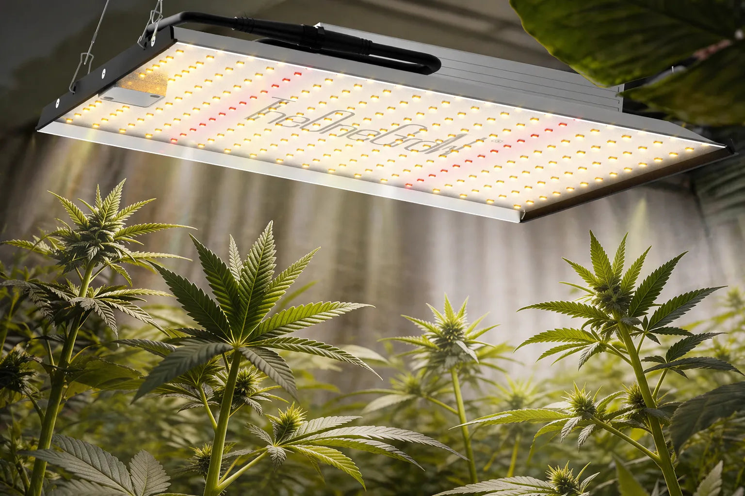 Indoor growing environment with plants and equipment